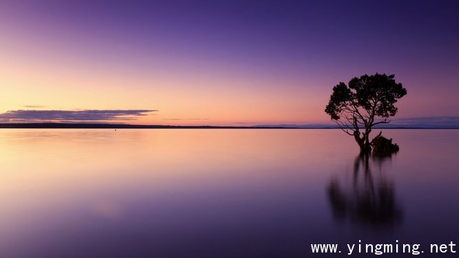 岳麓區網站設計制作如何提高設計感？